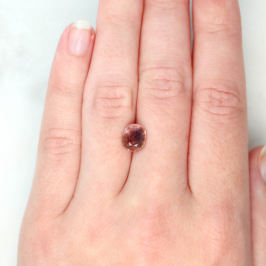 2.47 Carat Bicolor Golden Brown & Blue Oval Sapphire for Custom Work - Inventory Code BOS247 - Midwinter Co. Alternative Bridal Rings and Modern Fine Jewelry