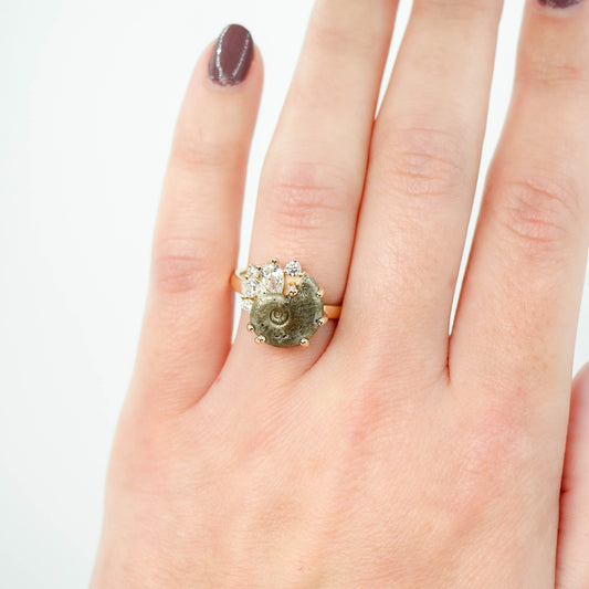 Calypso Ring with an Ammonite Fossil and White Accent Diamonds - Made to Order - Midwinter Co. Alternative Bridal Rings and Modern Fine Jewelry