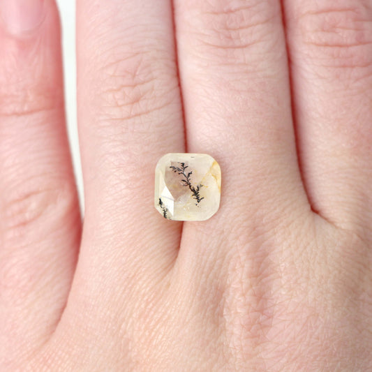 3.62 Carat Asscher Cut Dendritic Quartz for Custom Work - Inventory Code DQA362 - Midwinter Co. Alternative Bridal Rings and Modern Fine Jewelry