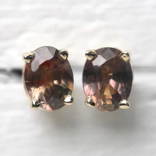 Pink Oval Sapphire Earrings in 14k Yellow Gold - Ready to Ship - Midwinter Co. Alternative Bridal Rings and Modern Fine Jewelry