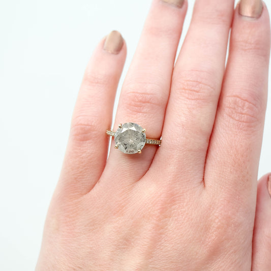 Imani Ring with a 4.87 Carat Salt and Pepper Diamond and White Pave Diamonds in 14k Yellow Gold - Ready to Size and Ship - Midwinter Co. Alternative Bridal Rings and Modern Fine Jewelry