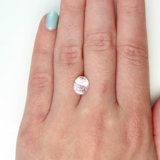 3.65 Carat Pink Oval Sapphire for Custom Work - Inventory Code POS365 - Midwinter Co. Alternative Bridal Rings and Modern Fine Jewelry