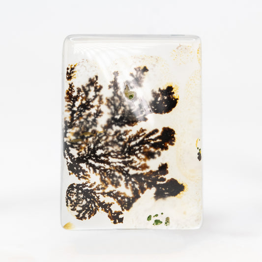 5.43 Carat Rectangular Cabochon Cut Dendritic Quartz for Custom Work - Inventory Code RCDQ543 - Midwinter Co. Alternative Bridal Rings and Modern Fine Jewelry