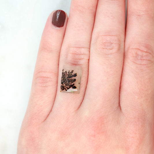 5.43 Carat Rectangular Cabochon Cut Dendritic Quartz for Custom Work - Inventory Code RCDQ543 - Midwinter Co. Alternative Bridal Rings and Modern Fine Jewelry