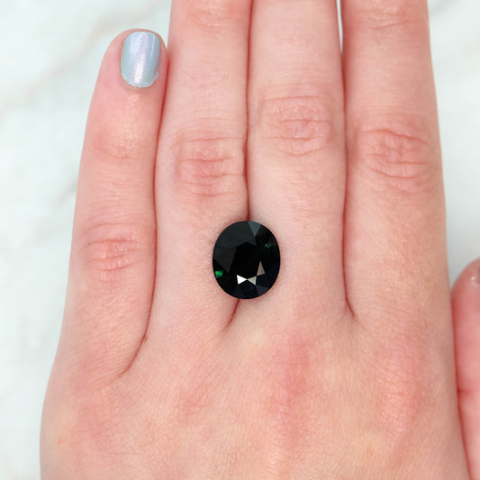6.15 Carat Dark Teal Oval Sapphire for Custom Work - Inventory Code TOS615 - Midwinter Co. Alternative Bridal Rings and Modern Fine Jewelry