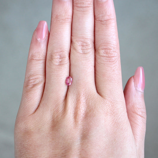 0.60 Carat Oval Red Pink Sapphire for Custom Work - Inventory Code ORPS060 - Midwinter Co. Alternative Bridal Rings and Modern Fine Jewelry