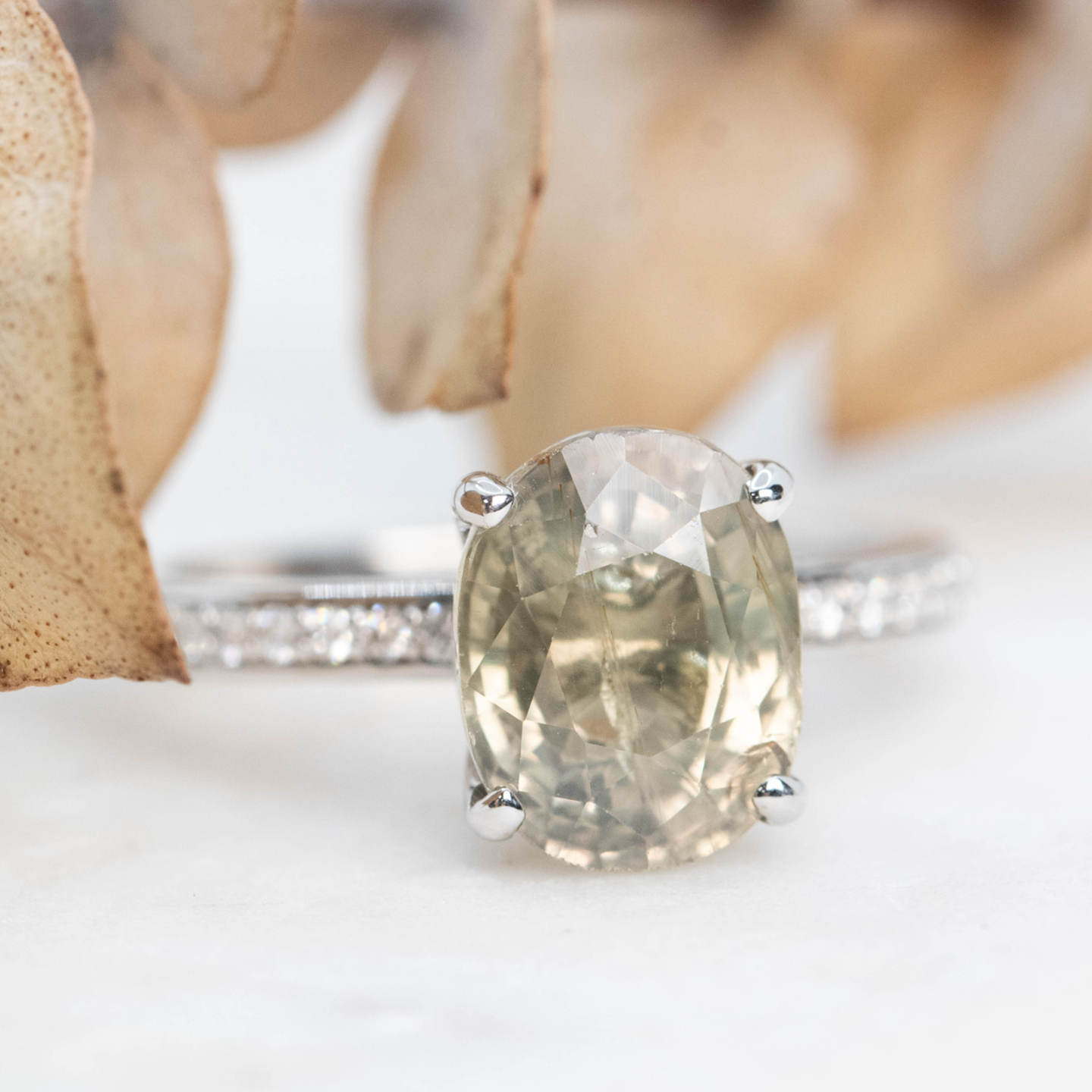 Tatum Setting - Midwinter Co. Alternative Bridal Rings and Modern Fine Jewelry