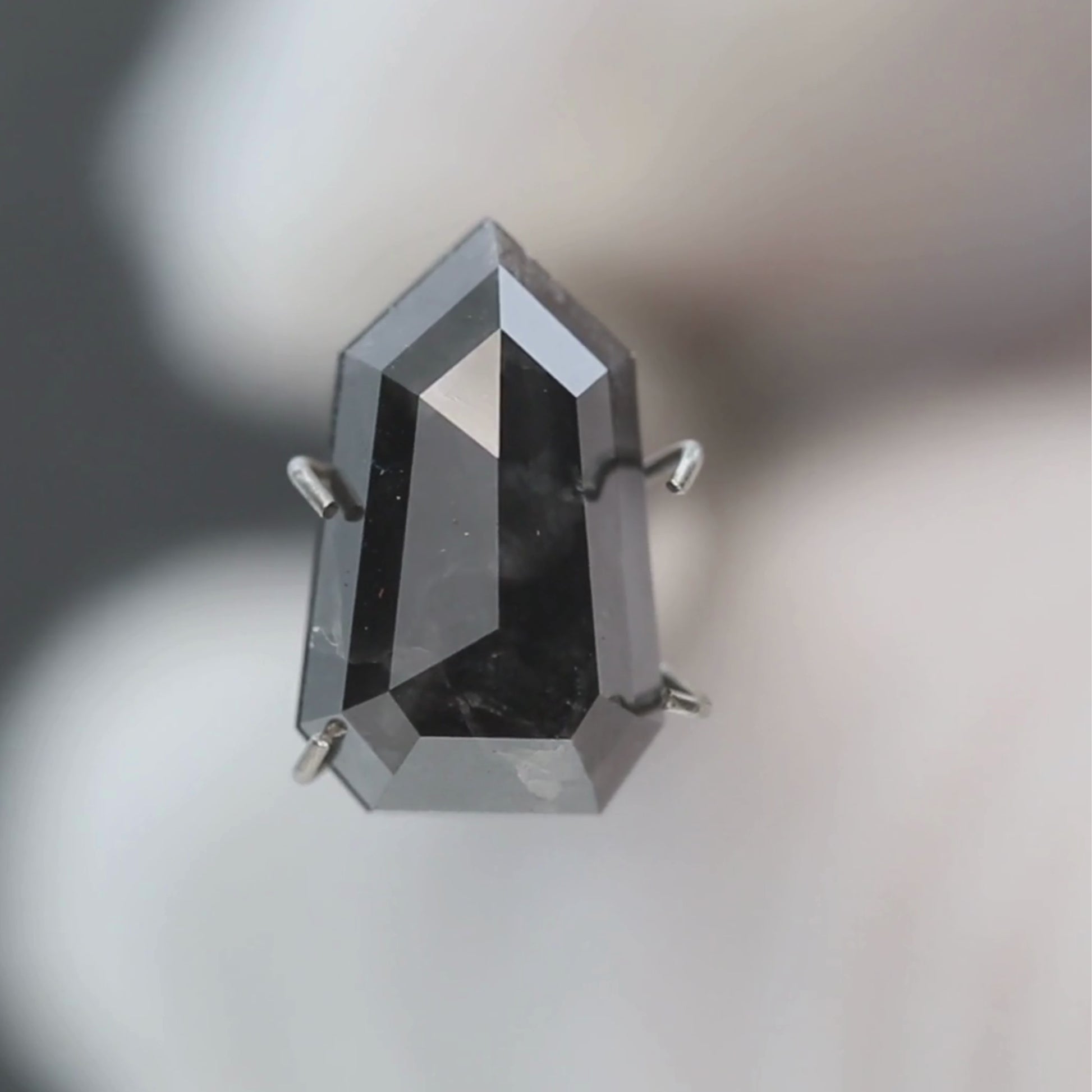 3.67 Carat Black Shield Cut Salt and Pepper Diamond for Custom Work - Inventory Code NBS367