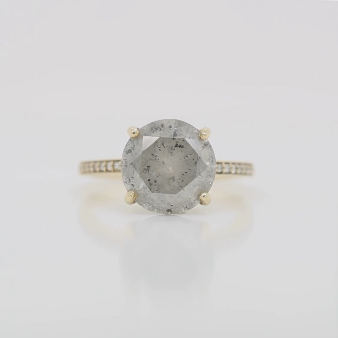 Imani Ring with a 4.87 Carat Salt and Pepper Diamond in 14k Yellow Gold - Ready to Size and Ship