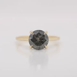 Elle Ring with a 3.02 Carat Round Dark Gray Celestial Diamond in 14k Yellow Gold - Ready to Size and Ship